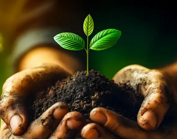 Steward Your Garden